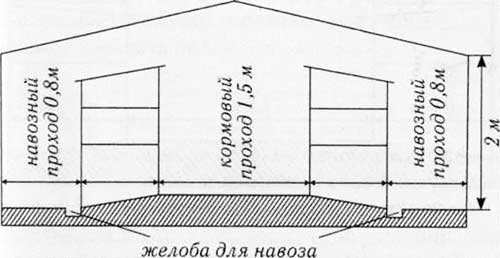 Шедовое содержание кроликов