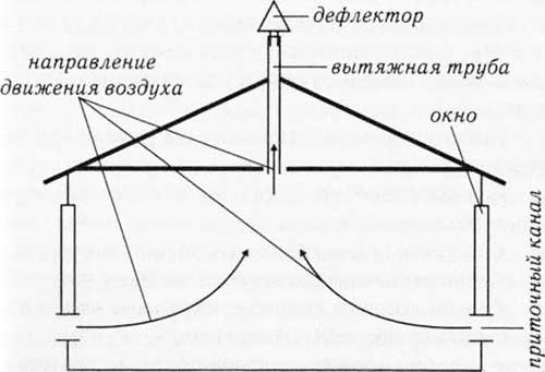 Вентиляция клетки