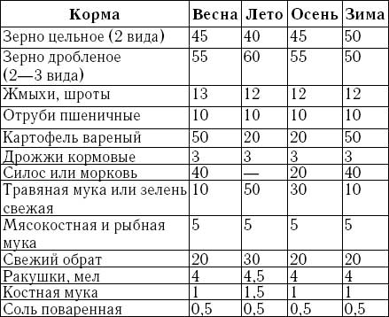 Кормление кур мясной направленности