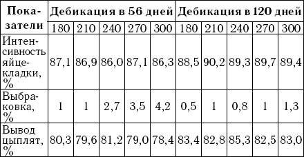 Продуктивность яичных кур кросса «Ломан-Браун»